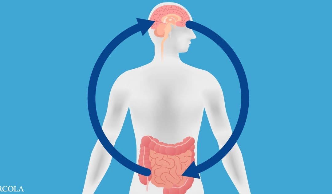 Vinculan el deterioro de la memoria con la inflamación intestinal