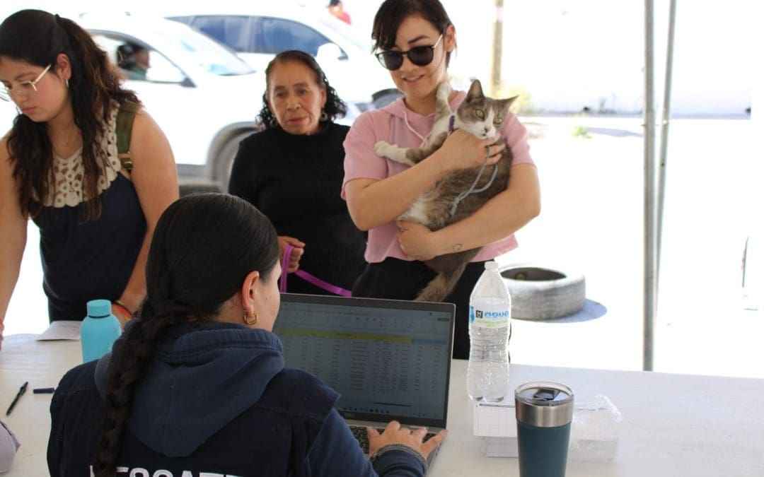 Aprovechan vecinos más de mil 500 servicios gratuitos para mascotas en Jardines del Sol