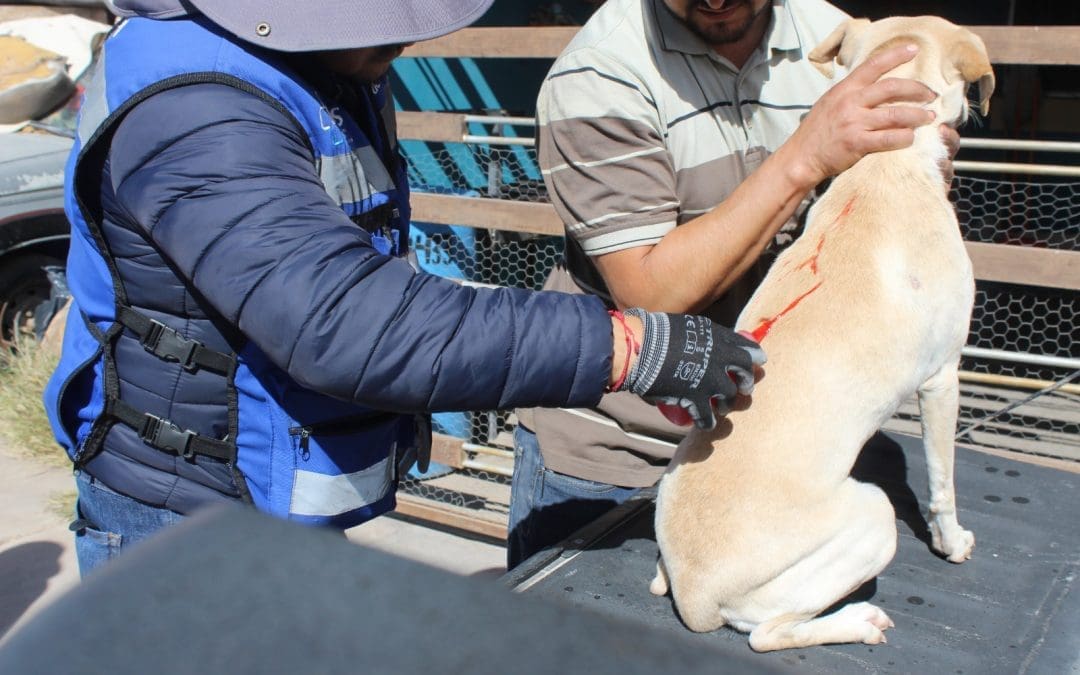 Llevarán el  “Patio de mi Casa” a cuatro colonias esta semana