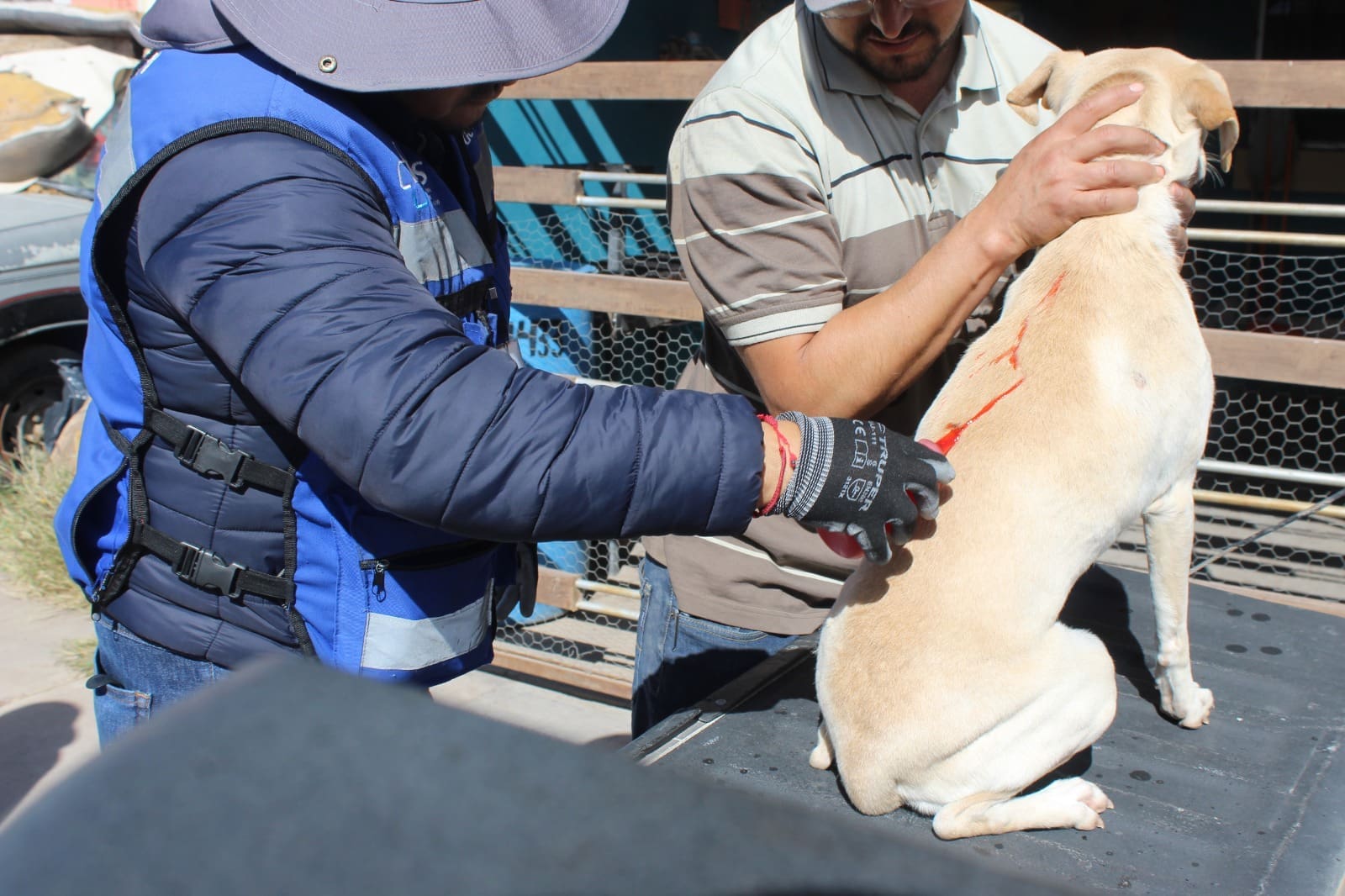 WhatsApp Image 2026-03-02 at 12.25.05 PM