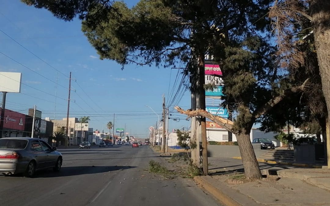 Camión de aseo urbano derriba ramas y cables en Avenida Las Américas