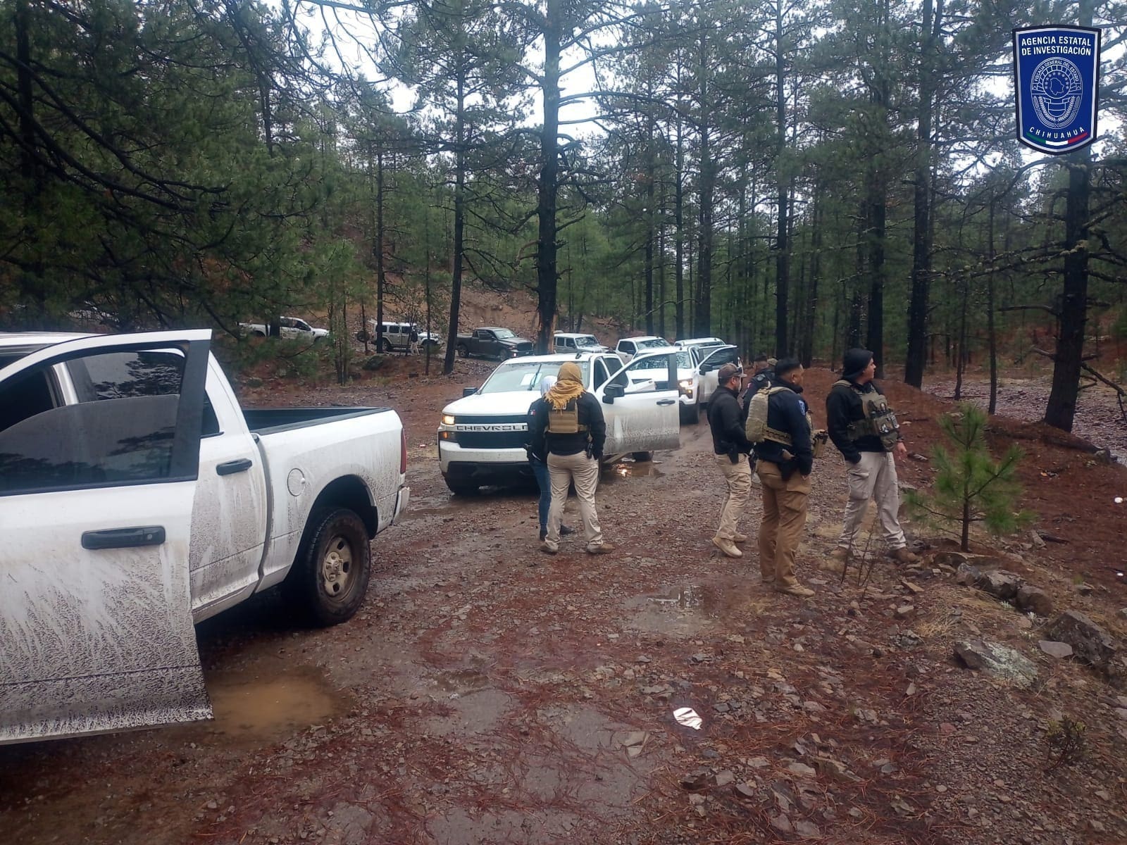 WhatsApp Image 2026-03-13 at 1.04.01 PM