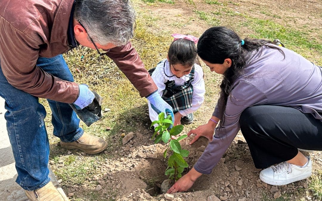 Municipio realiza reforestación en tres zonas de la ciudad