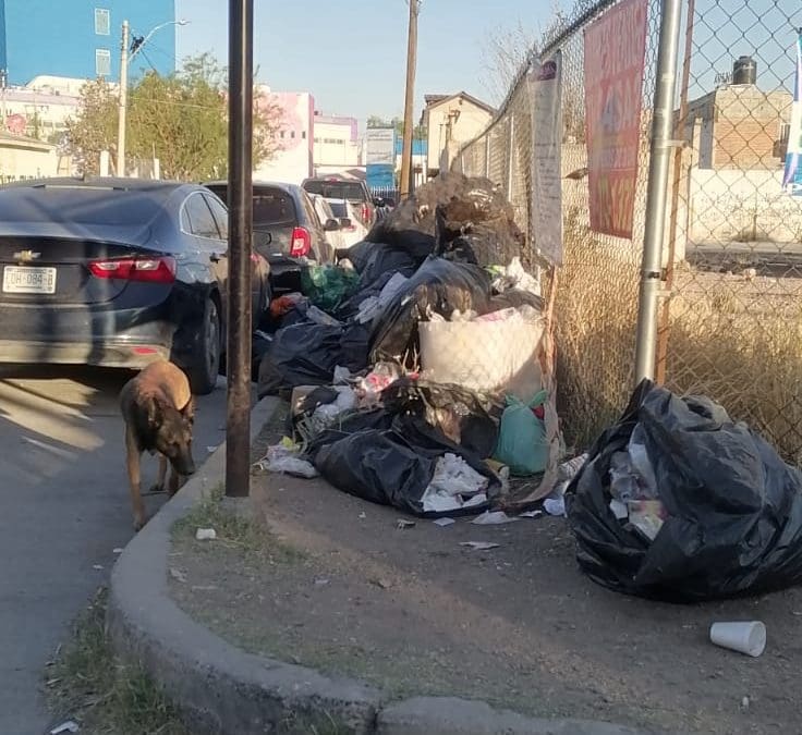 Reportan gran acumulación de basura cerca del Hospital General