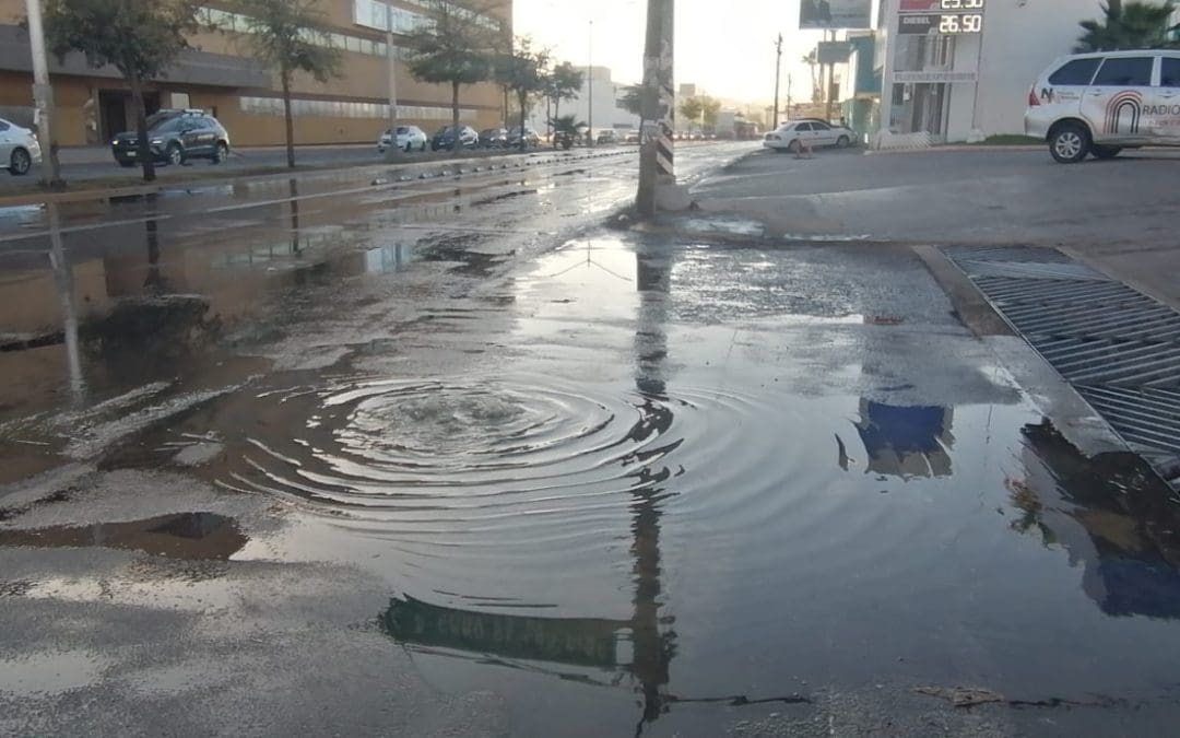 Reportan fuga de aguas negras en avenida Universidad