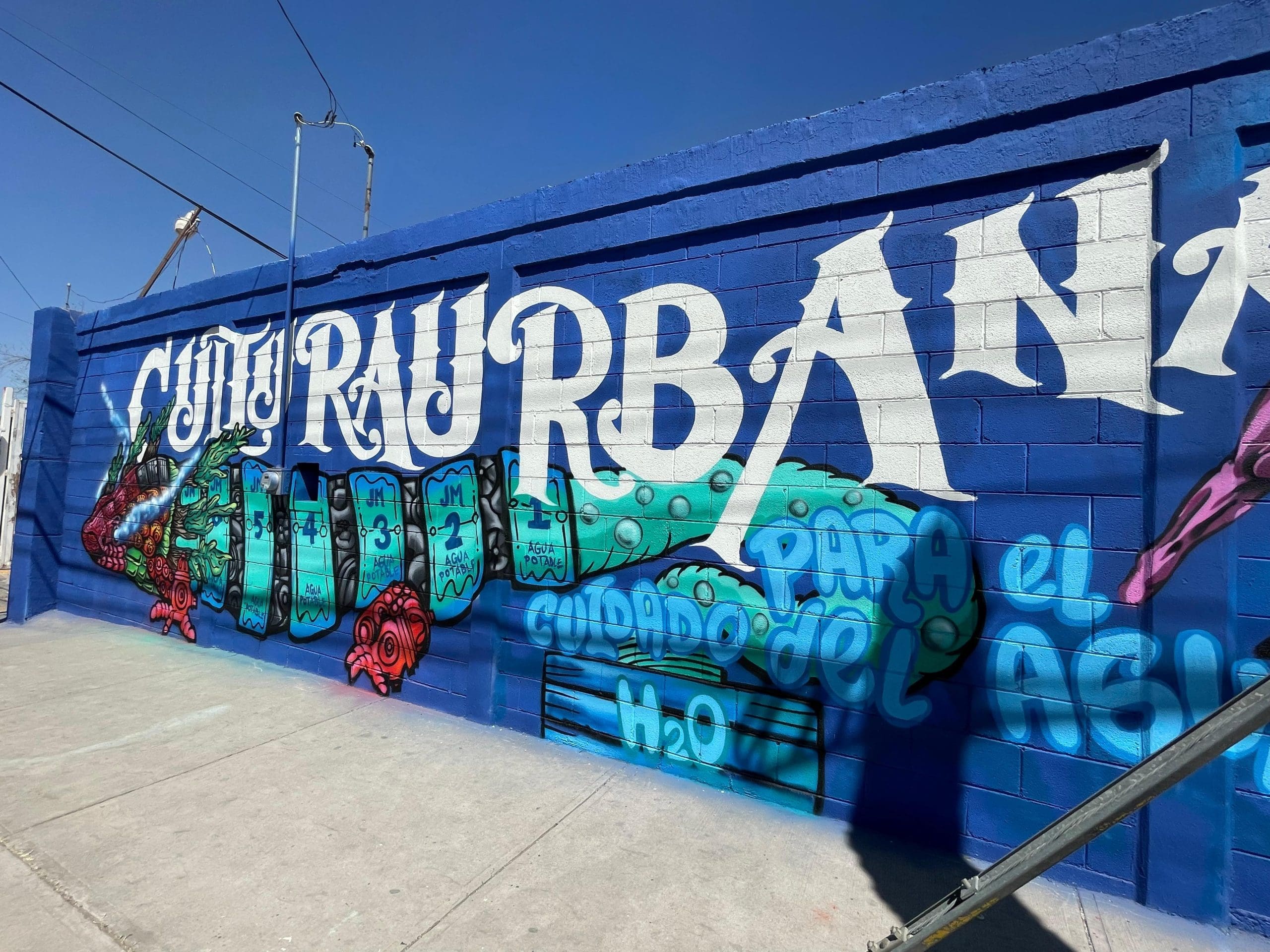 WhatsApp Image 2026-03-25 at 4.16.09 PM