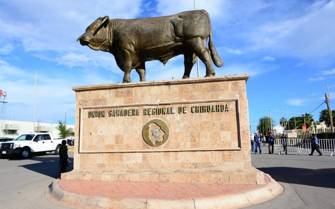 Llama UGRCH a preservar el Estado de Derecho tras asesinato de ganadero