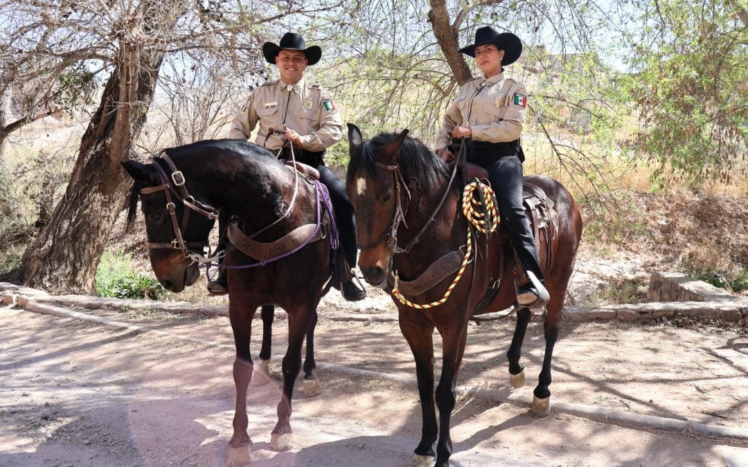 Los “Charlys” de la Policía Municipal: vigilancia y búsqueda en zonas de difícil acceso