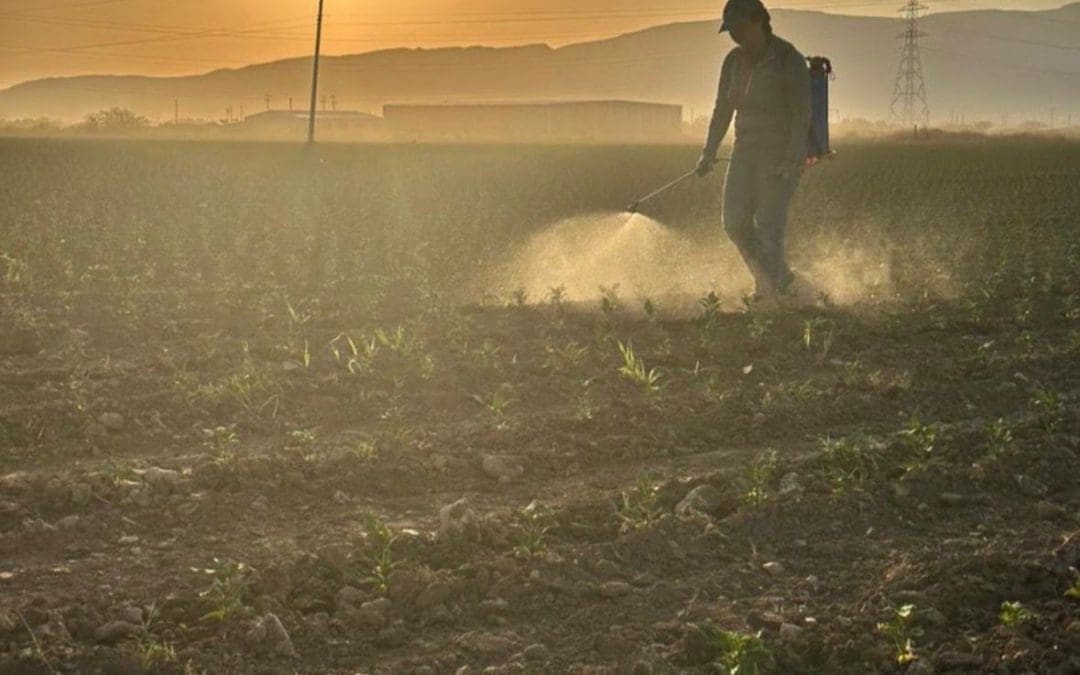 Investigadores de la UACH presentaron resultados de proyecto sobre microalgas en Chihuahua