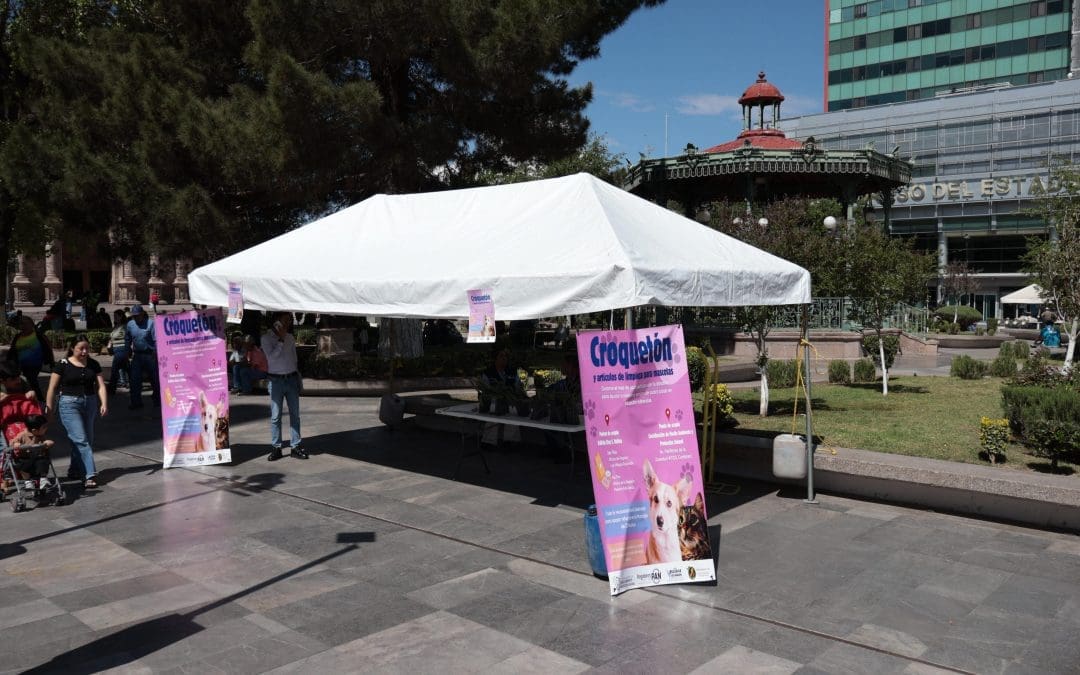 Invitan a donar alimento y productos de limpieza para mascotas en la Plaza de Armas