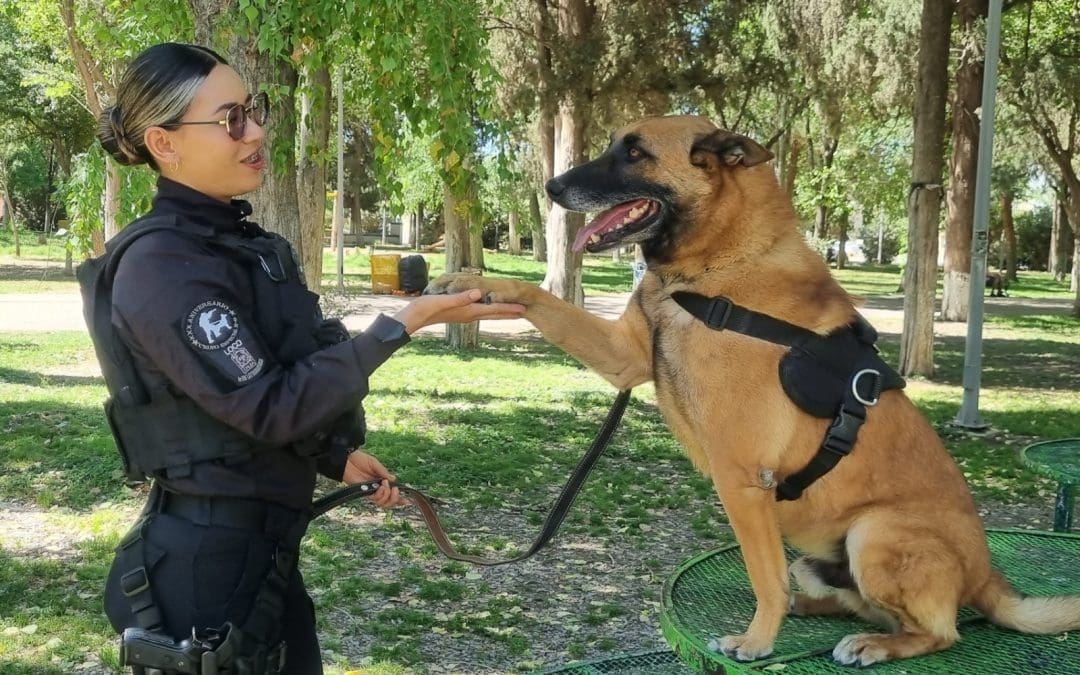 Se retiran cinco perros policia del K9