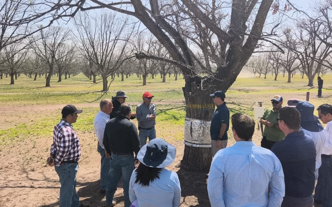Fortalecen UACH, INIFAP y UTEP colaboración binacional para enfrentar retos del cambio climático
