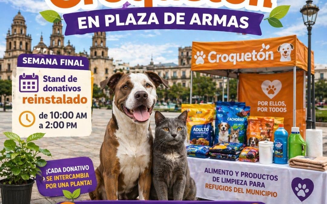 Cerrarán campaña del «Croquetón» en Plaza de Armas