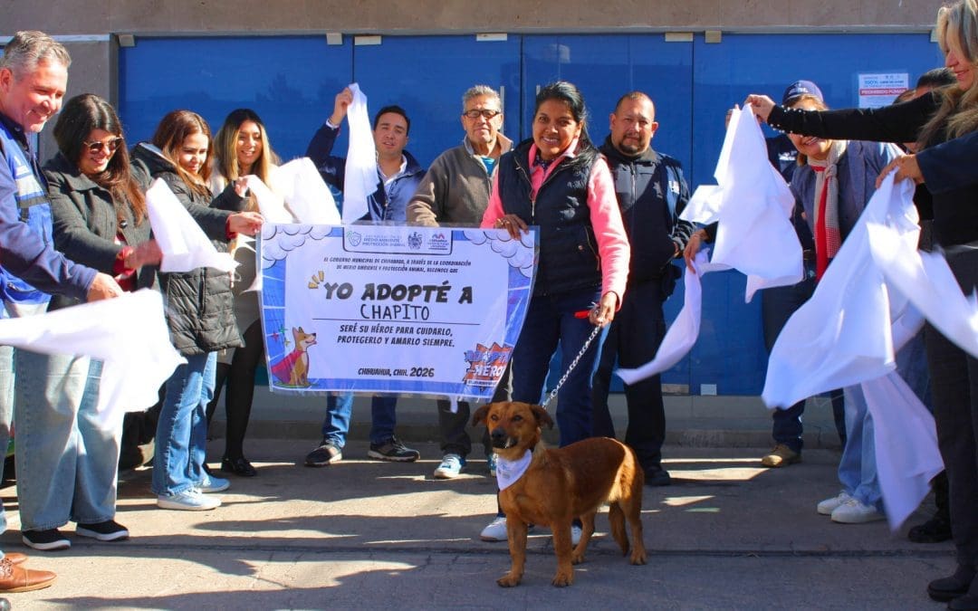 Dan un hogar a 19 animalitos rescatados por Protección Animal