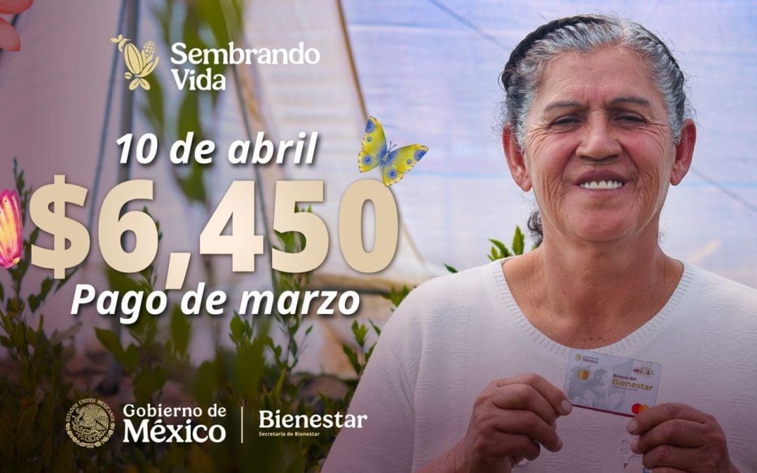 Depositan apoyos a beneficiarios del programa  Sembrando Vida