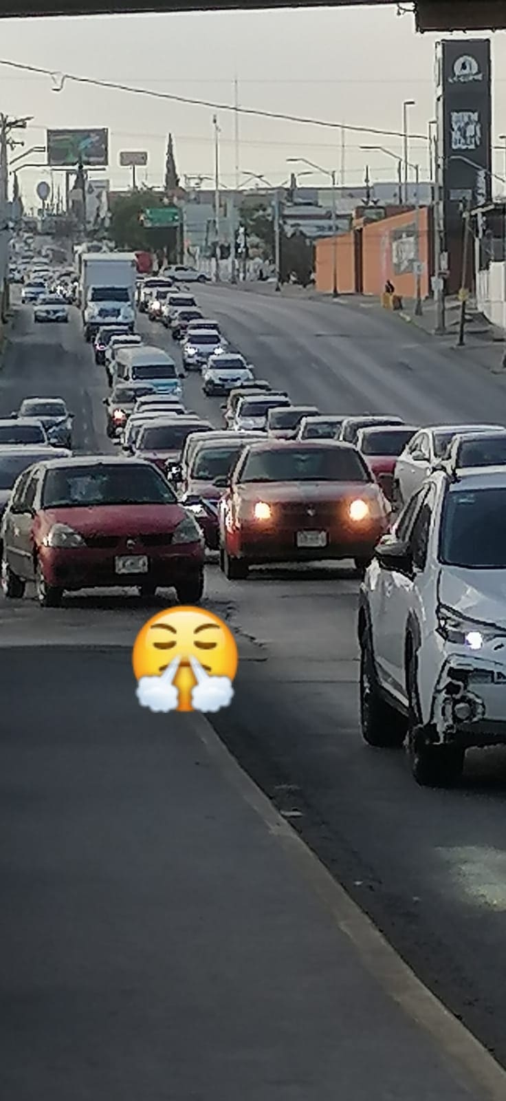 WhatsApp Image 2026-04-13 at 8.00.59 AM