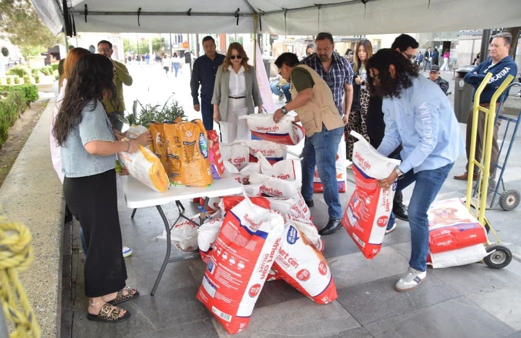 Dona personal de Sindicatura 380 kilos de croquetas al “Croquetón 2026”
