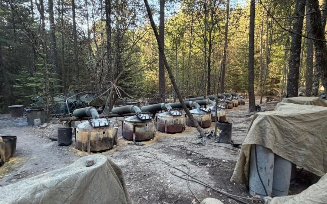 Entre Guachochi y Morelos, aseguran campamento con víveres y tambos de mil litros