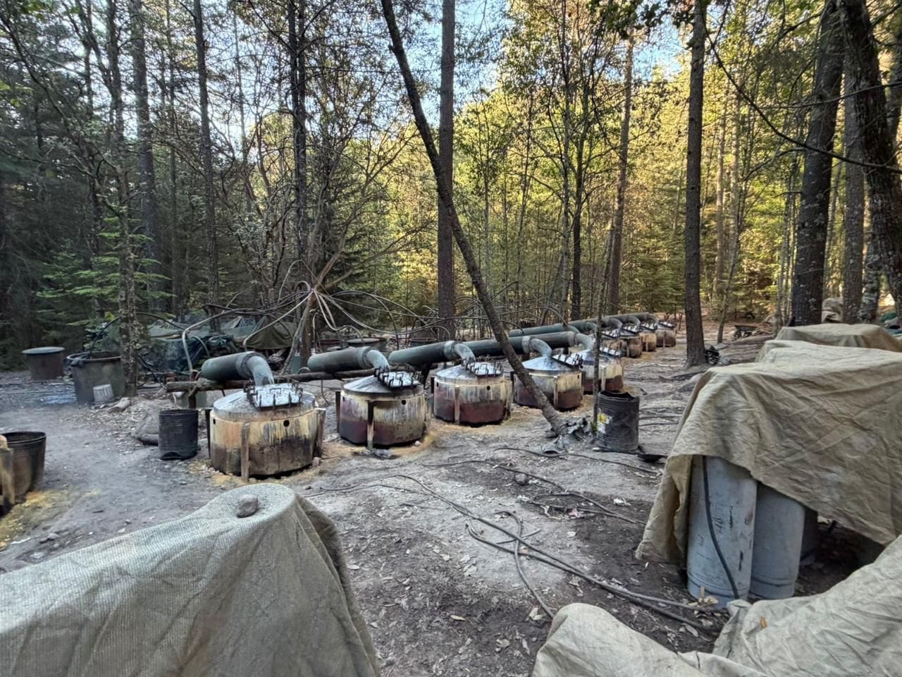 Entre Guachochi y Morelos, aseguran campamento con víveres y tambos de mil litros