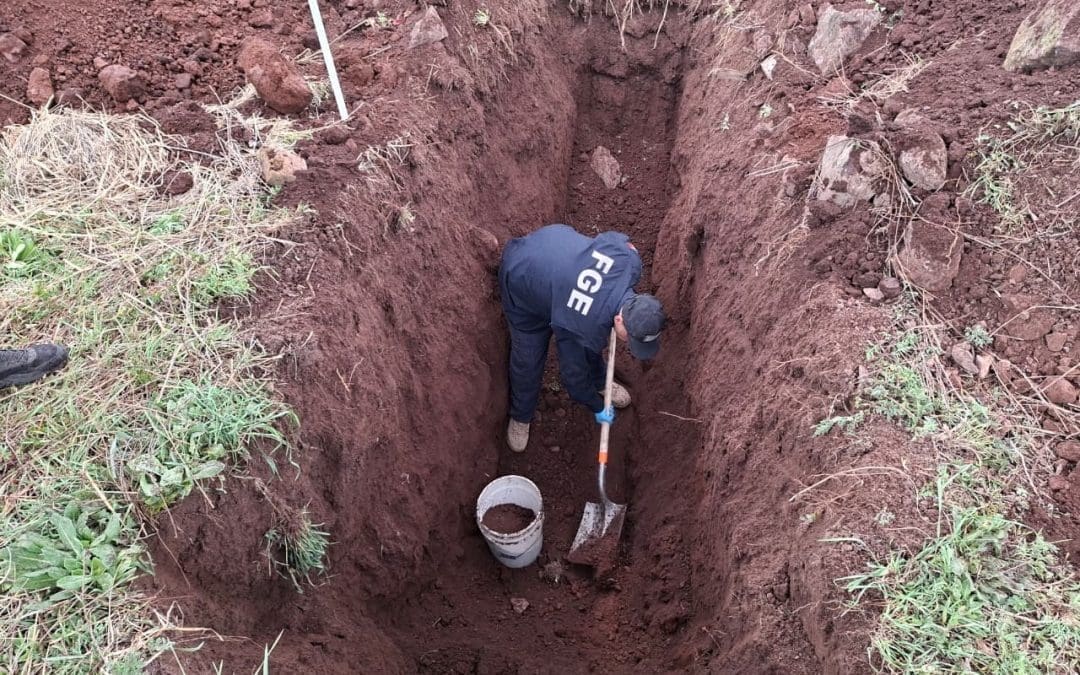 Exhuman cuerpo número 13 en panteón de La Norteña, en Madera; buscan identificar restos