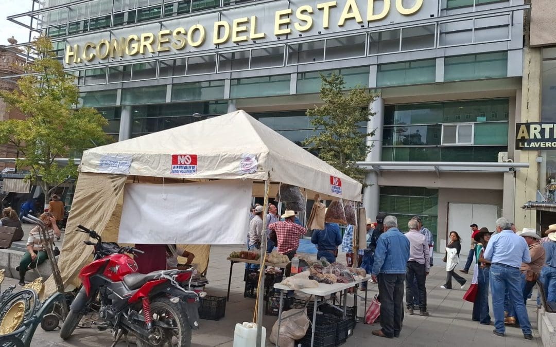 Productores de frijol estiman manifestarse en Chihuahua