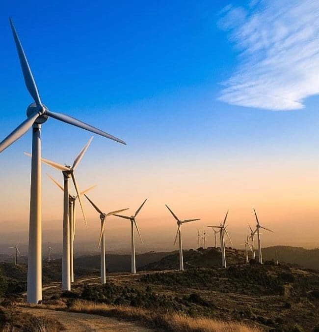 6 años trabajando en la agenda verde, con la Unión Europea. Afirman empresarios