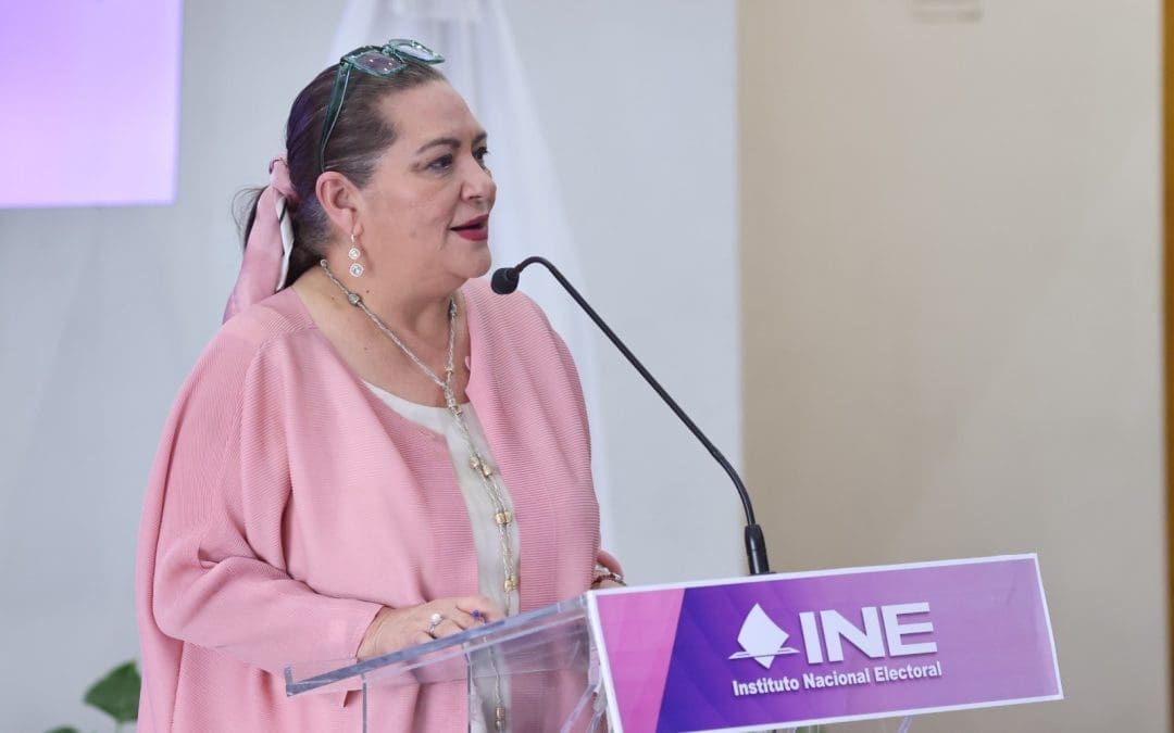 Aclara Guadalupe Taddei que no es su función verificar candidaturas