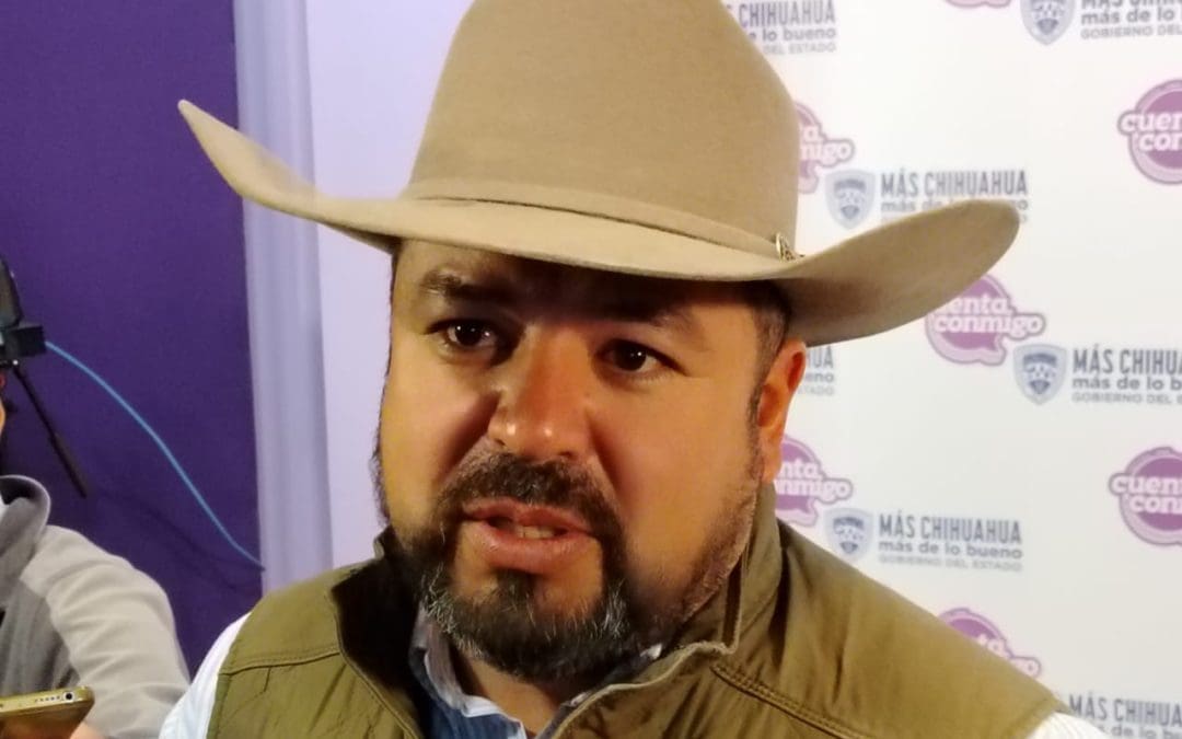 Chihuahua mantiene vigilancia estricta contra gusano barrenador tras caso en perro en CDMX
