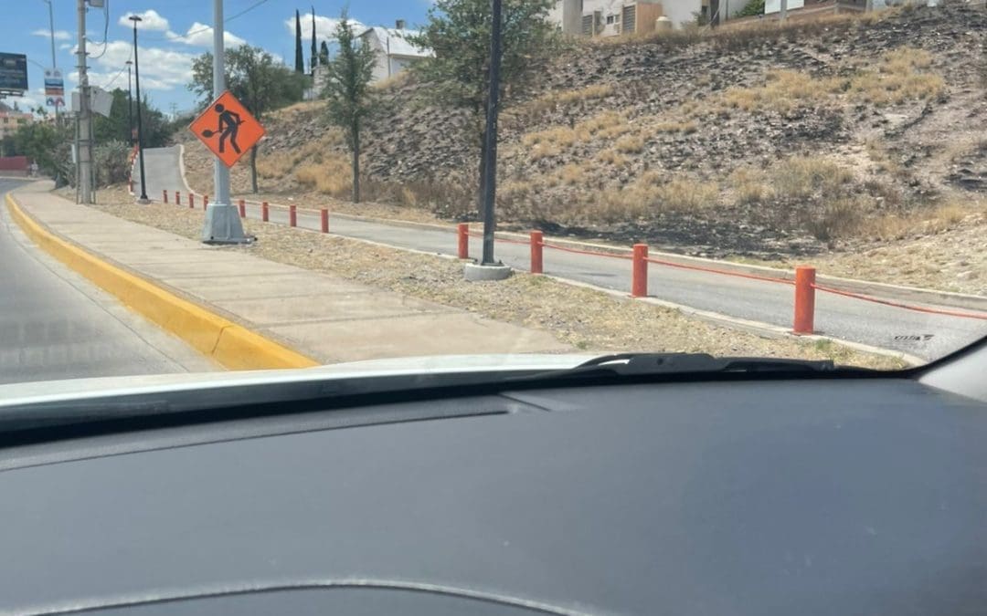 Alertan por falta de riego en canal de la calle 28; encinos comienzan a secarse