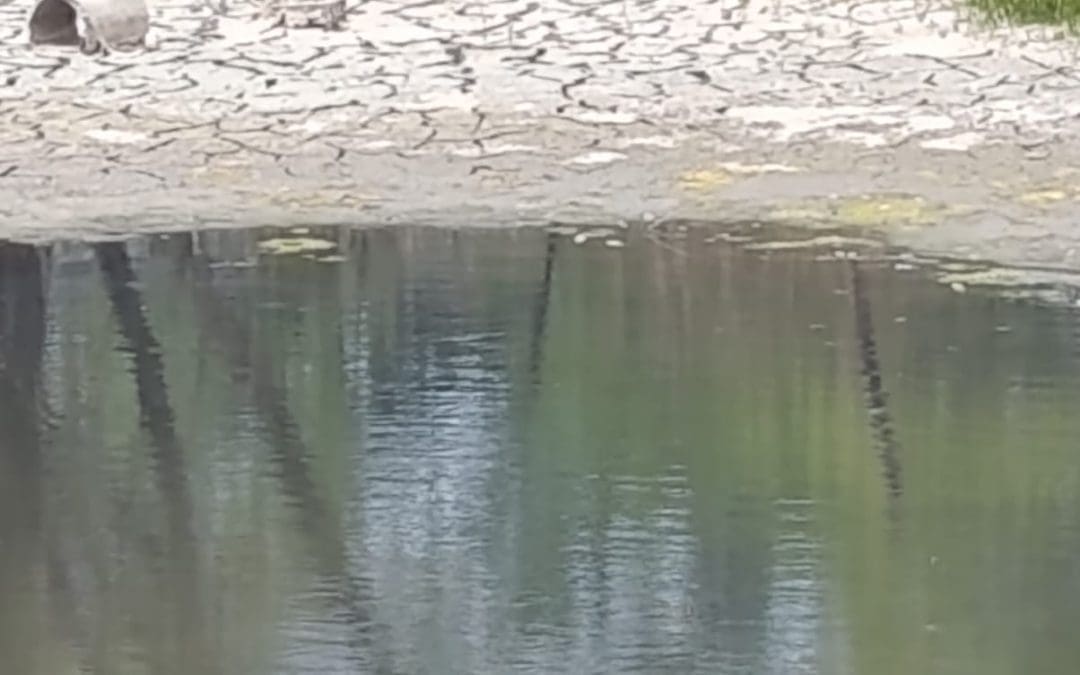 Clausuran 30 tomas clandestinas de agua en San Francisco del Oro