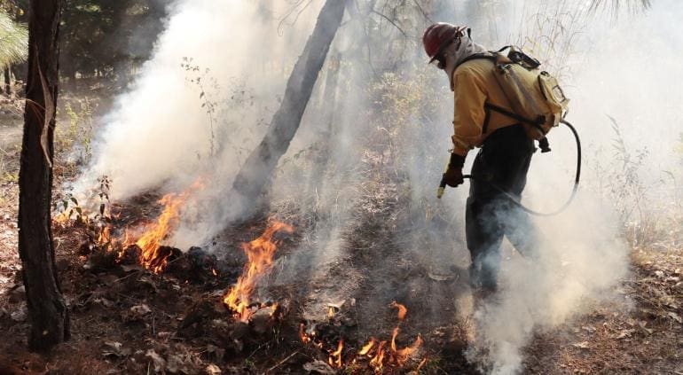 Reportan 2 incendios activos en el estado: uno en extinción y otro con 20% de control