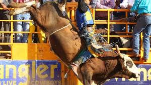 rodeo