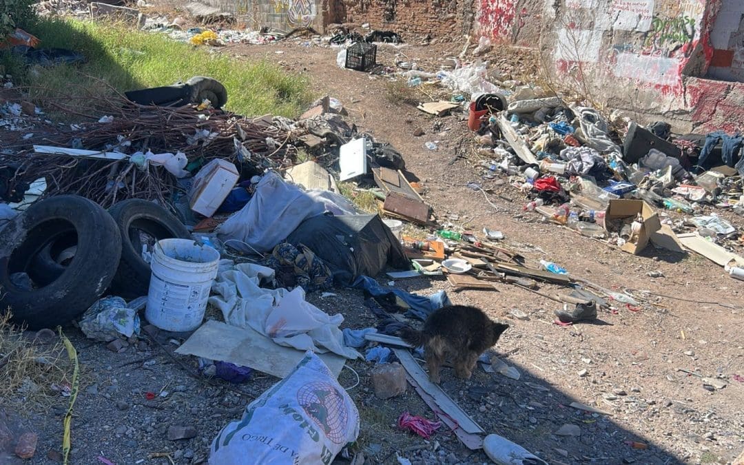 Denuncian basurero clandestino en terreno baldío de la calle 43 y Méndez