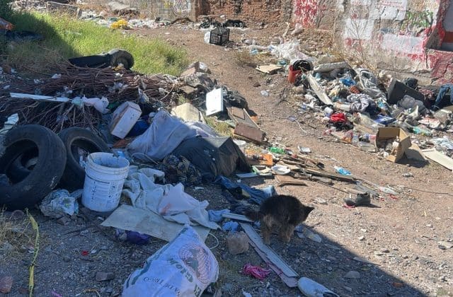 Denuncian basurero clandestino en terreno baldío de la calle 43 y Méndez