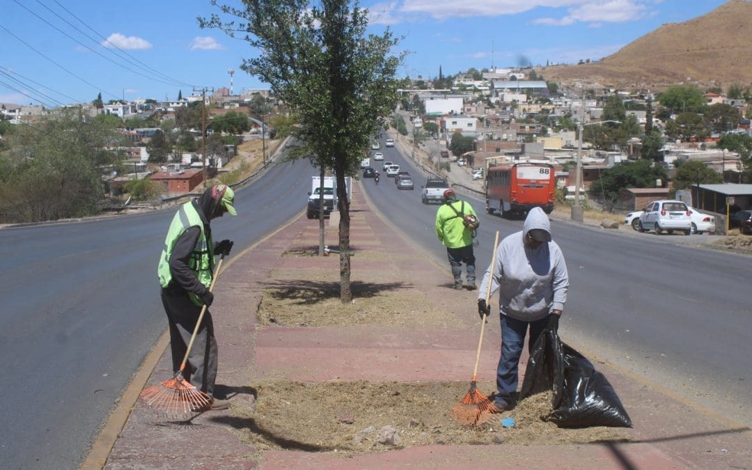 Avanza limpieza urbana al sur de la ciudad