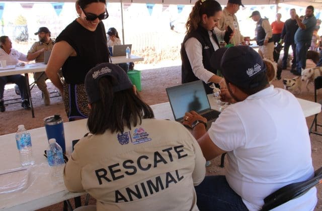 Se fortalece la protección animal en la ciudad de Chihuahua