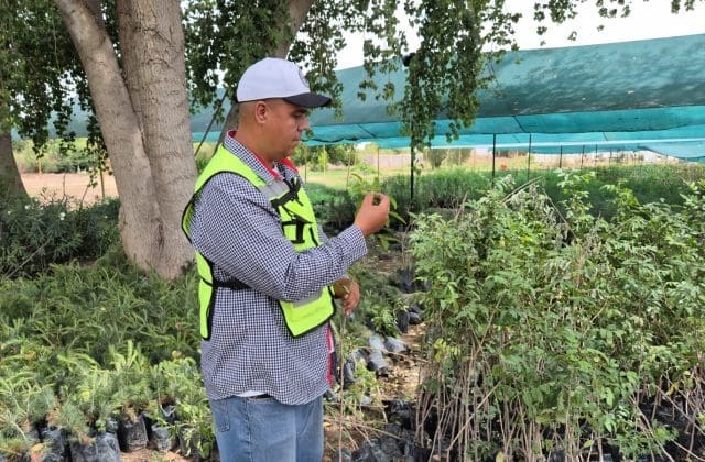 Celebra el día mundial del medio ambiente cuidando los árboles y plantas de Chihuahua.