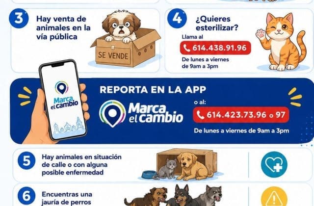 Llaman a combatir el abandono de mascotas y fomentar la tenencia responsable