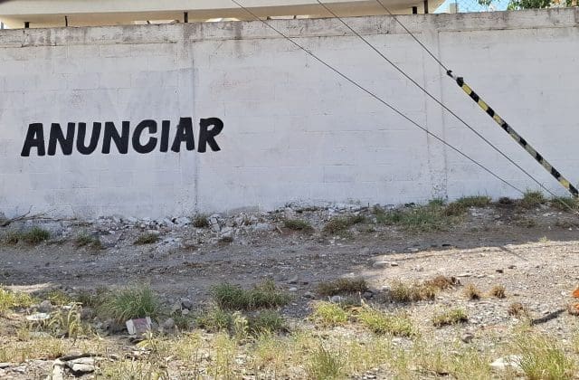 Piden denunciar pintas en bardas, con fines electorales