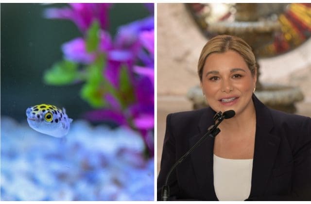 Invita Maru Campos a visitar el acuario de Guachochi