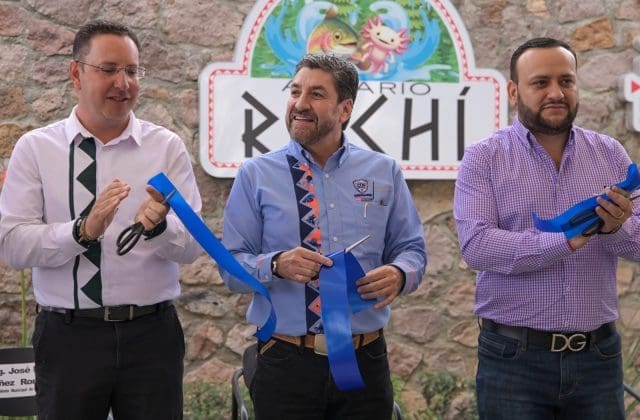 Inauguran acuario Rochí en Guachochi: 600 ejemplares de 53 especies, entre ellos el ajolote endémico