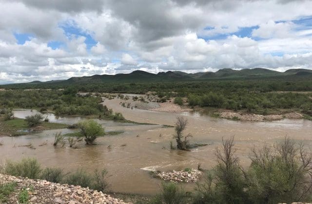 Alarma por tala ilegal en Sacramento: denuncian devastación del ecosistema y acusan omisión de autoridades
