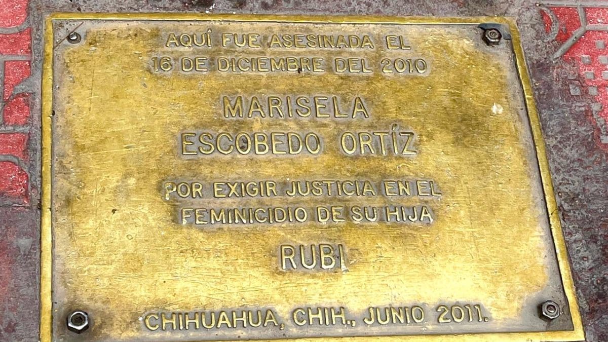 Condena CEAVE declaraciones contra Marisela Escobedo 