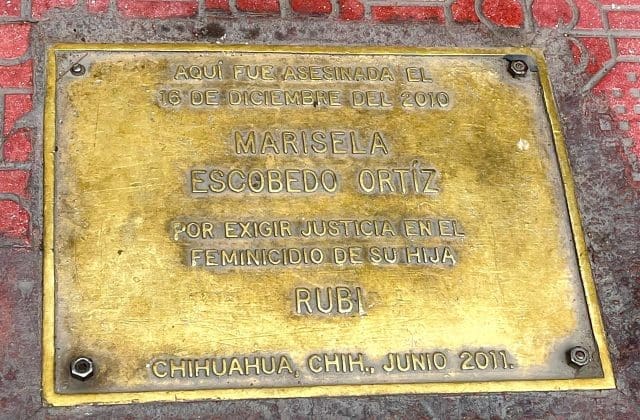 Condena CEAVE declaraciones contra Marisela Escobedo 