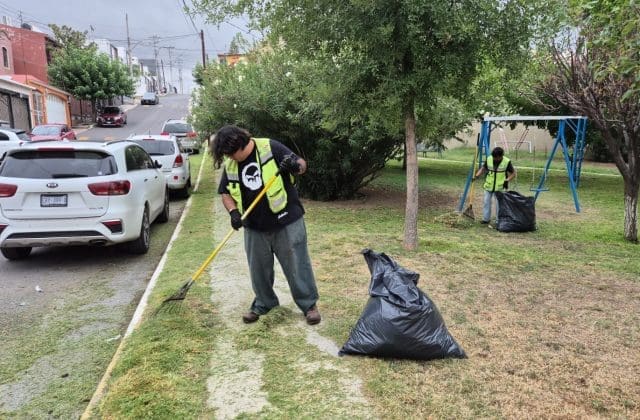 Mantienen labores permanentes de conservación de parques