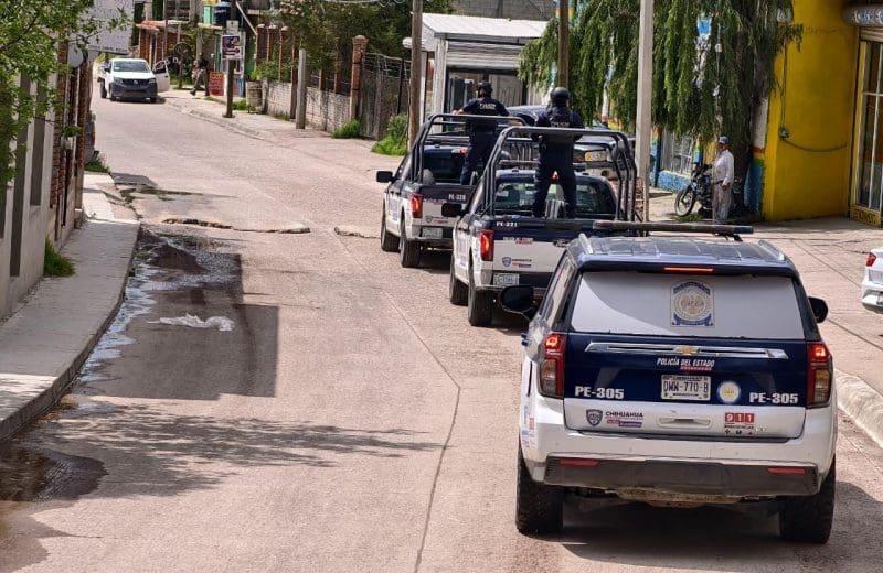 Coordinan operativo de seguridad y rastreo en la sierra de Guadalupe y Calvo