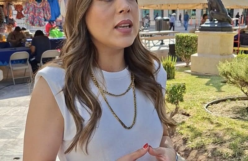 Mujeres con empleo enfrentan mayores obstáculos para la lactancia materna: Mónica Meléndez