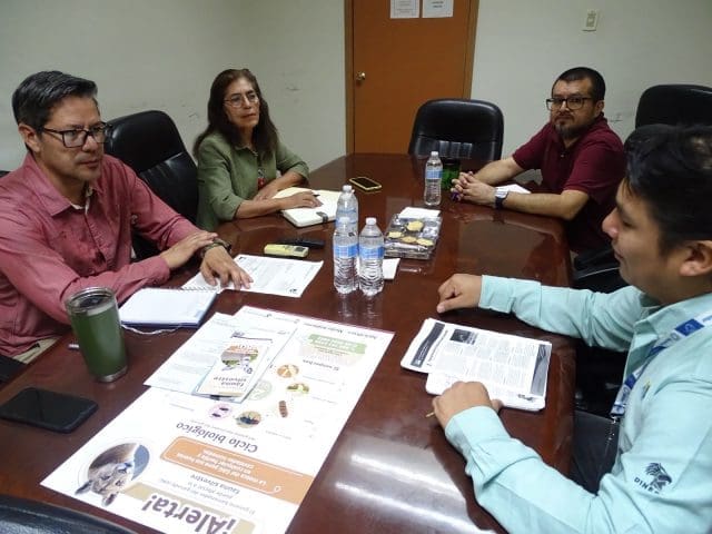 Sin casos de gusano barrenador en fauna silvestre; piden reportar sospechas